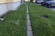 IMG_8603.jpeg