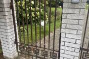 IMG_3236.jpeg