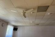 IMG_0358.jpeg