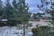 IMG_2474 (1).JPEG