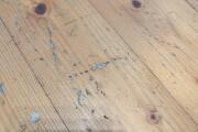 PXL_20260507_091855887.jpg