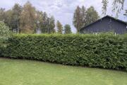 IMG_1060.jpeg