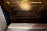 IMG_9645.jpeg