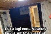 IMG_1153.jpeg