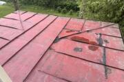 IMG_9536.jpeg