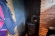 IMG_2720.jpeg