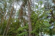 IMG20260615112201.jpg