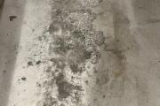 IMG_7962.jpeg