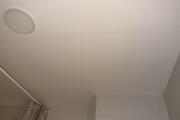 IMG_7224.jpg