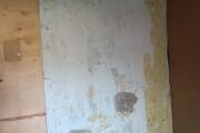 IMG_20260728_084222.jpg