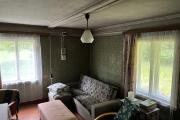 IMG_3381.jpeg