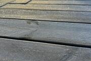 IMG_6005.jpeg