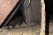 IMG_6105.jpeg