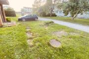 IMG_0601.JPEG