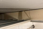 IMG_6794.jpeg