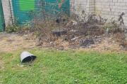 IMG-20260801-WA0002.jpg