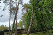 IMG20260615112407.jpg