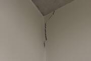 IMG_7183.jpeg