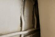 IMG_6529.HEIC