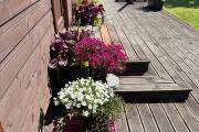 IMG_8437.jpeg