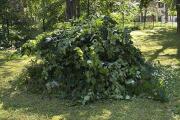 IMG_1691.jpeg