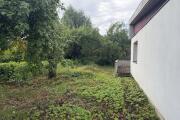 IMG_2089.jpeg