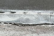 IMG_5564.jpeg