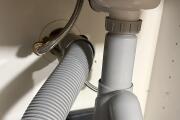 IMG_9955.jpeg