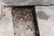 IMG_20260929_100710_018.jpg