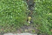 IMG_8766.JPEG