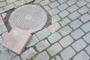20260523_105239.jpg