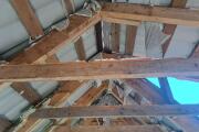 20260506_105234.jpg