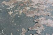 IMG_7686.jpeg