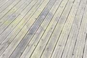 IMG_7217.jpeg