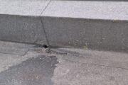 IMG_20260518_195517_678.jpg
