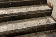 IMG_3629.jpeg