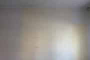 IMG_8028.jpeg