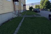 IMG_8601.jpeg