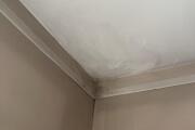 IMG_3407.jpeg