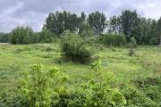 IMG_8813.jpeg