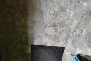 IMG_20260506_164156.jpg