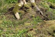 IMG_1572.jpeg