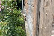 IMG_8244.jpeg