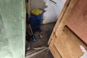 IMG_20260820_194419.jpg