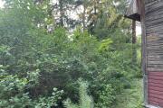 IMG_5767.JPG