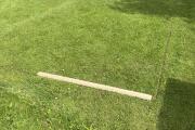 IMG_4520.jpeg