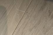 IMG_4292.jpeg