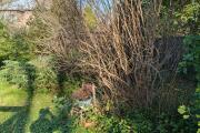 IMG20261021142912.jpg
