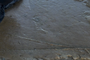 IMG_5484.PNG