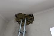 IMG_9508.jpeg